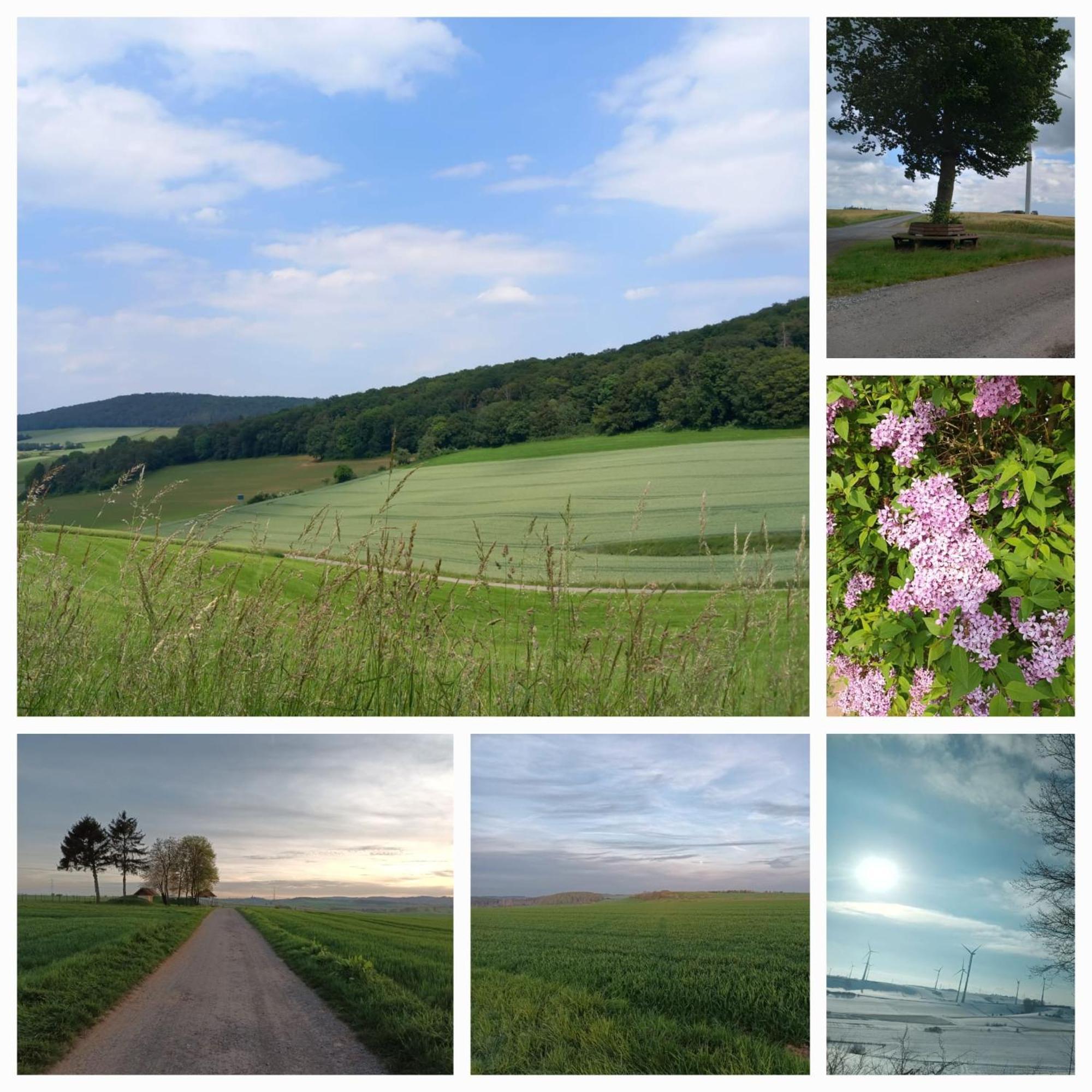 Gaestezimmer Diemelstadt ภายนอก รูปภาพ